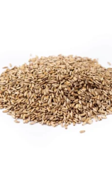 Milk Thistle Seed (Carduus marianus) Whole 100% Pure Natural Herb