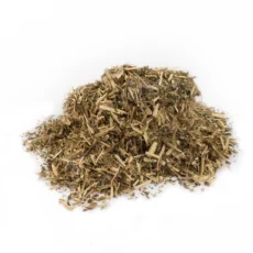 Lemon Balm Leaf Melissa officinalis