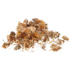 Arnica Flower Arnica montana Dried Flowers