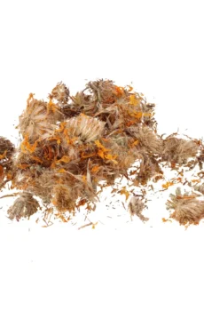 Arnica Flower Arnica montana Dried Flowers
