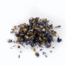 Cornflowers Blue Whole Centaurea cyanus Flowers