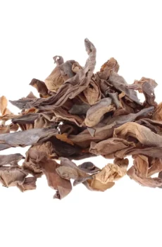 Lotus Flowers Cut 100% Natural Nelumbo nucifera