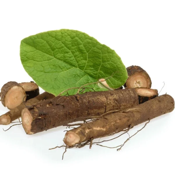 burdock root cut arctium lappa, premium quality 100% pure
