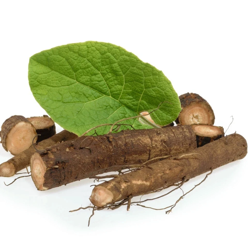 burdock root cut arctium lappa, premium quality 100% pure